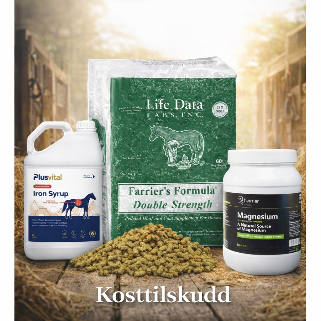 Kosttilskudd