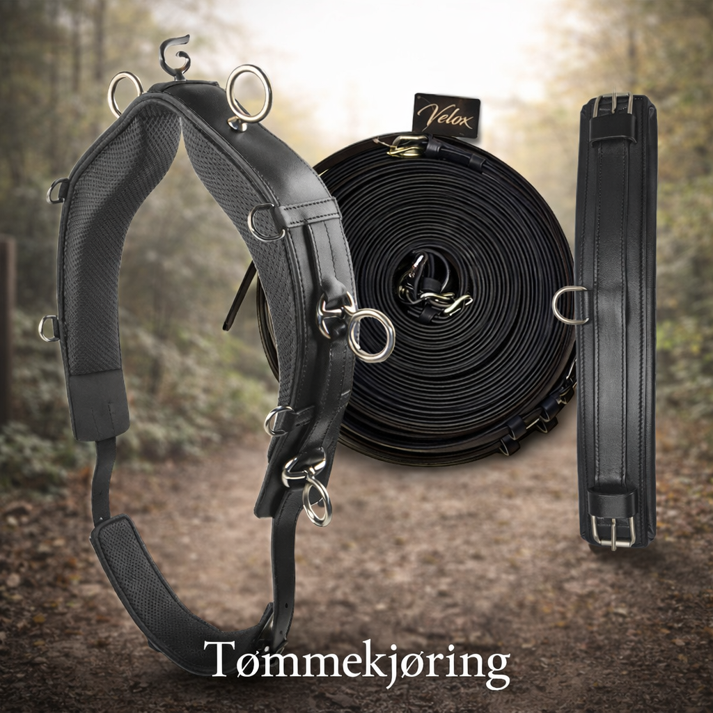 Tømmekjøring og Longering