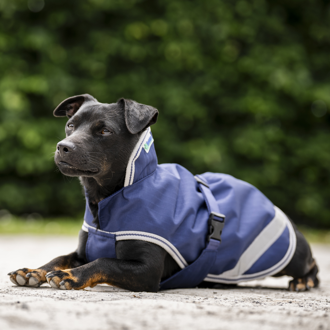 Bucas Freedom Hundedekken Navy 300g